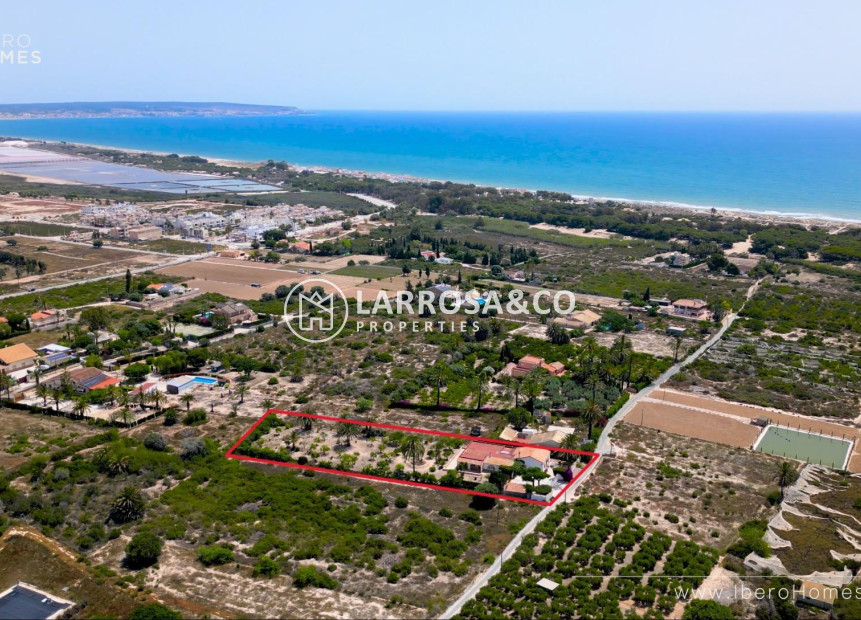 A Vendre - Country house - La Marina - Costa Blanca