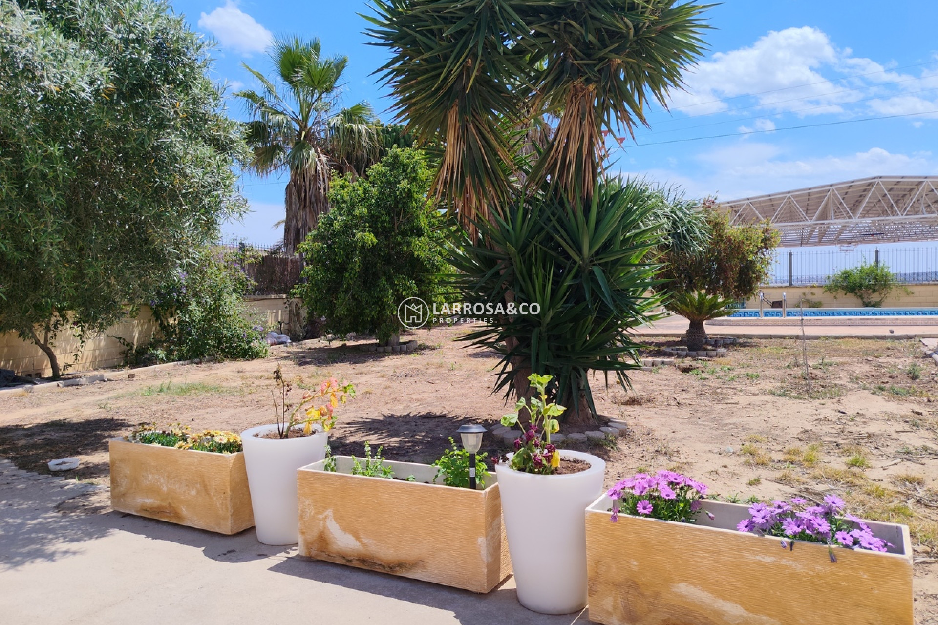 A Vendre - Country house - Los Montesinos - Costa Blanca