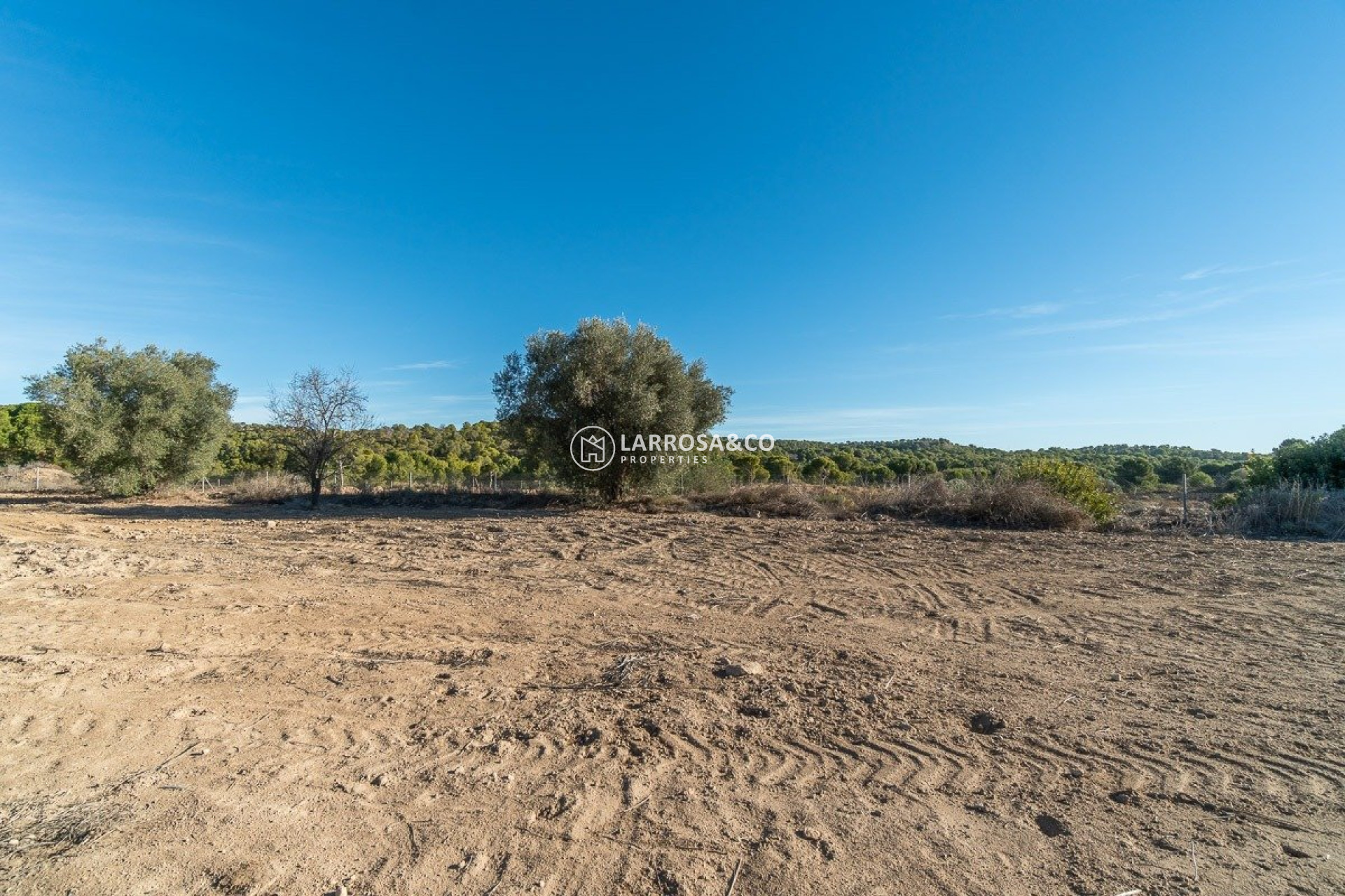 A Vendre - Country house - Pilar de la Horadada - Pinar de la Perdiz