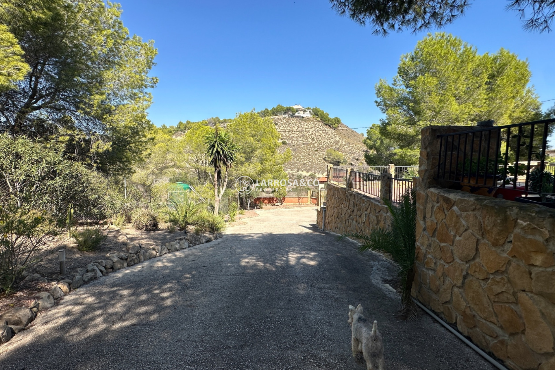 A Vendre - Country house - San Miguel de Salinas - Inland