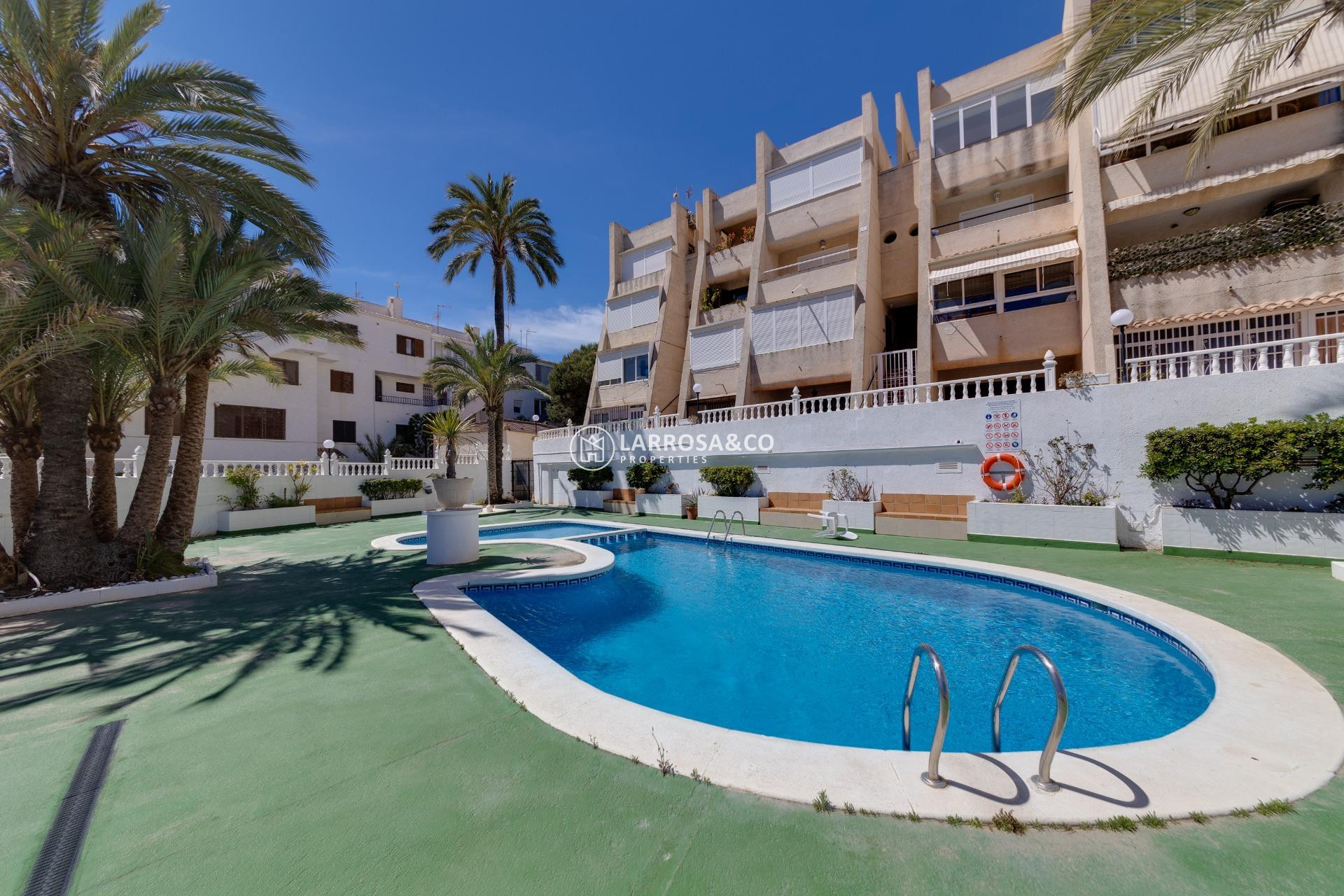 A Vendre - Duplex - Torrevieja - Torre la mata