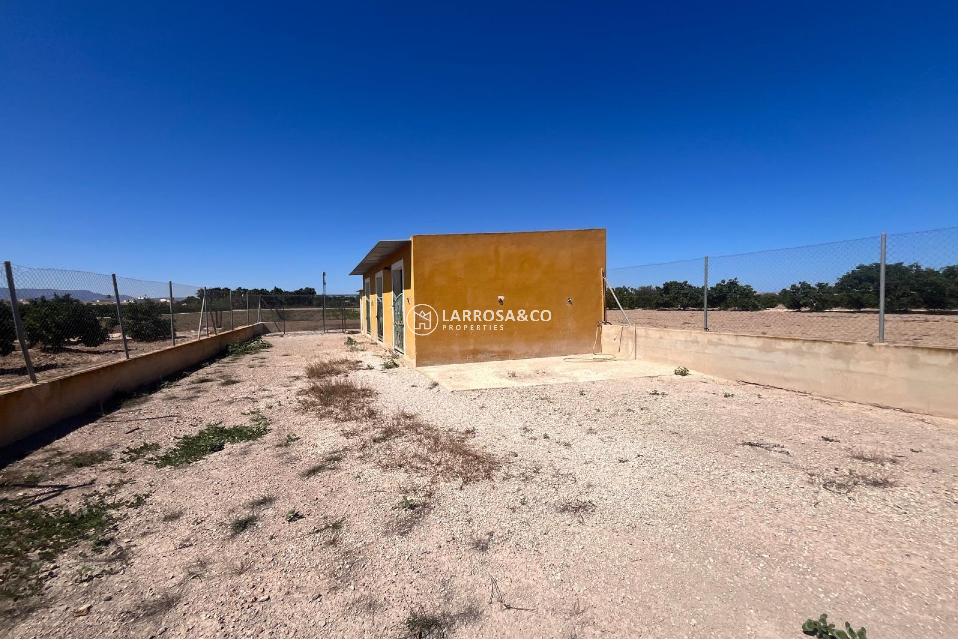 A Vendre - Finca - Daya Nueva - La Bodega