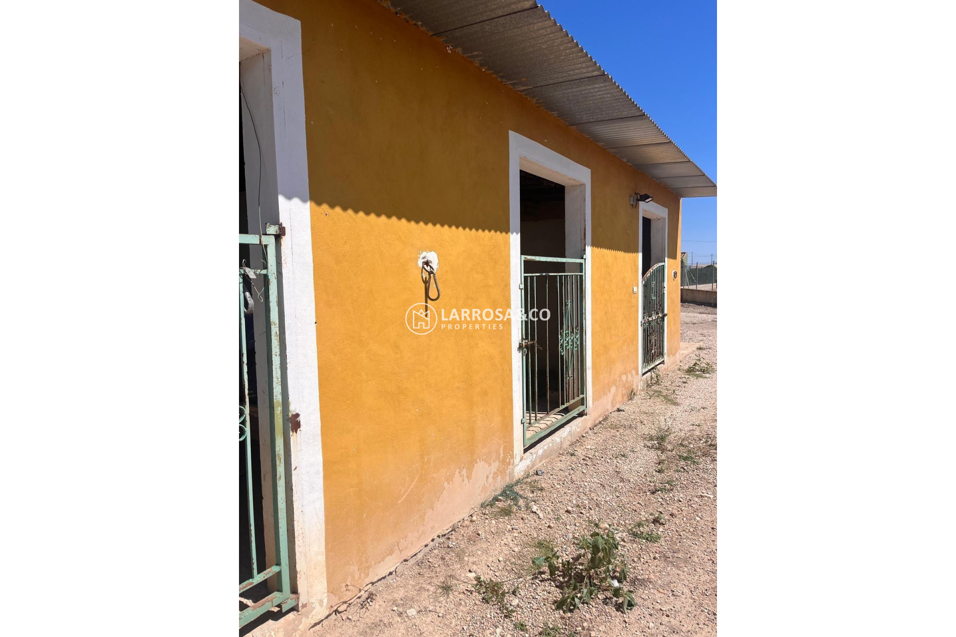 A Vendre - Finca - Daya Nueva - La Bodega