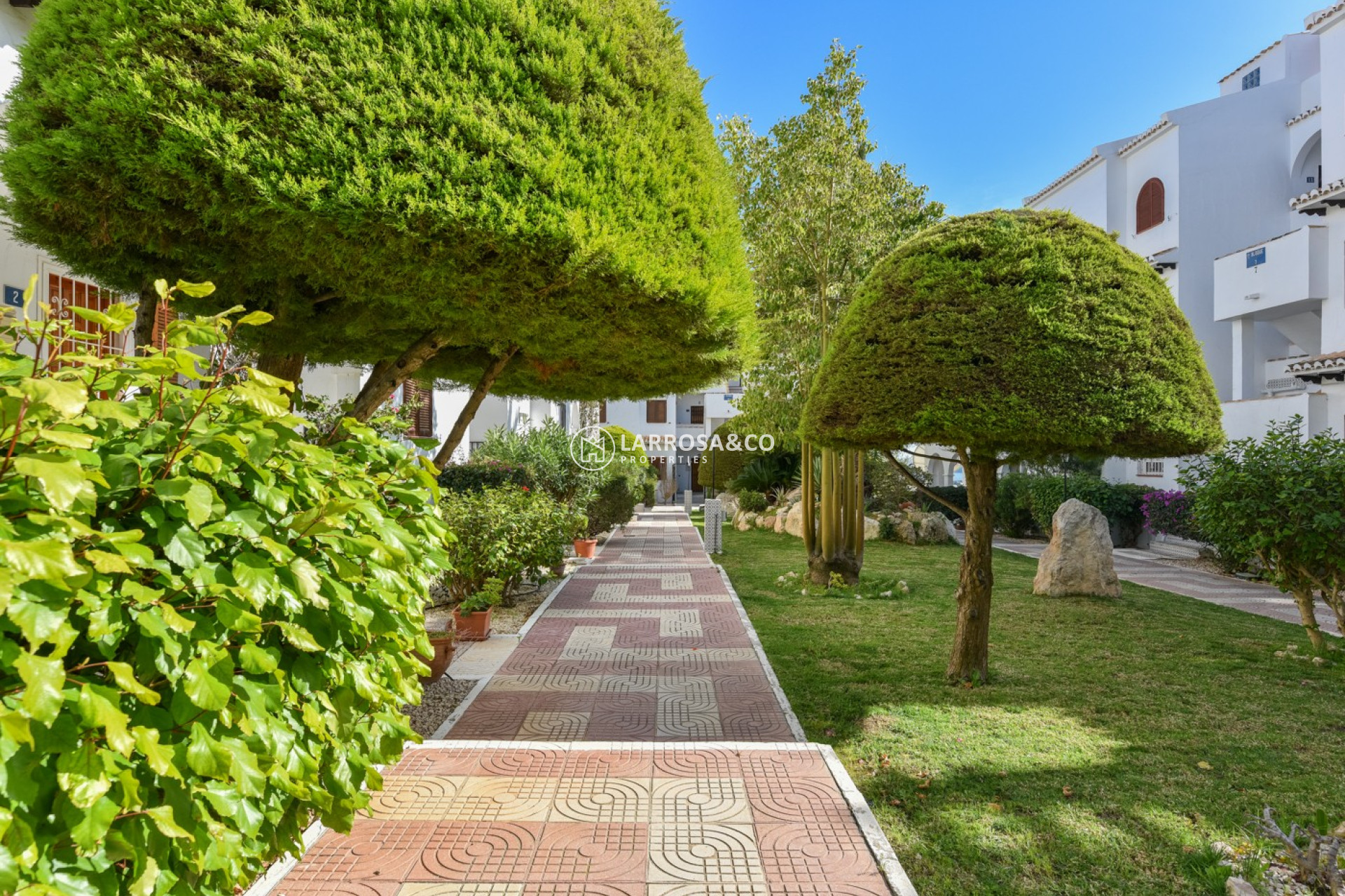 A Vendre - Flat - Ciudad Quesada - Rojales