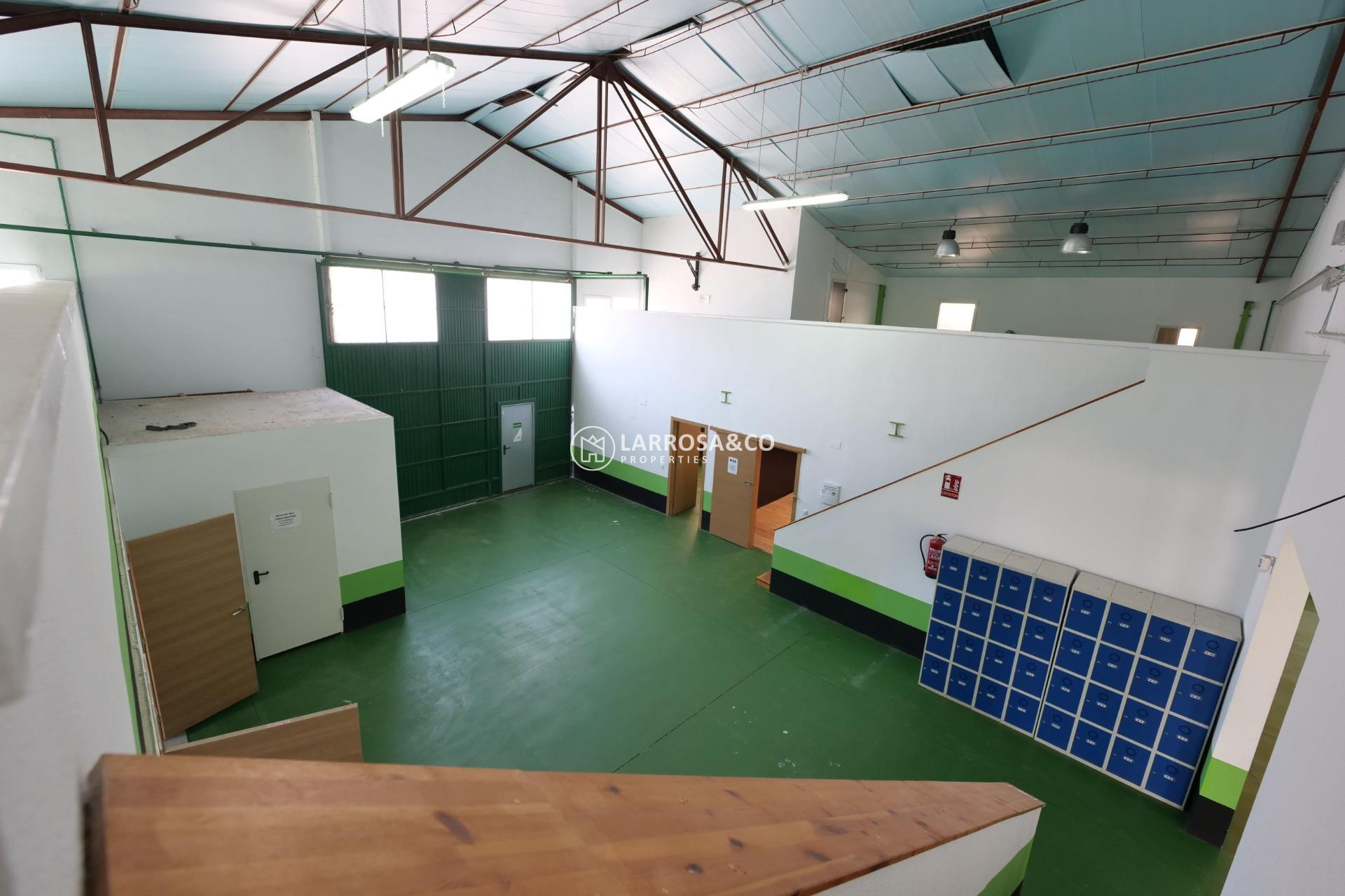 A Vendre - Industrial Field - Almoradí