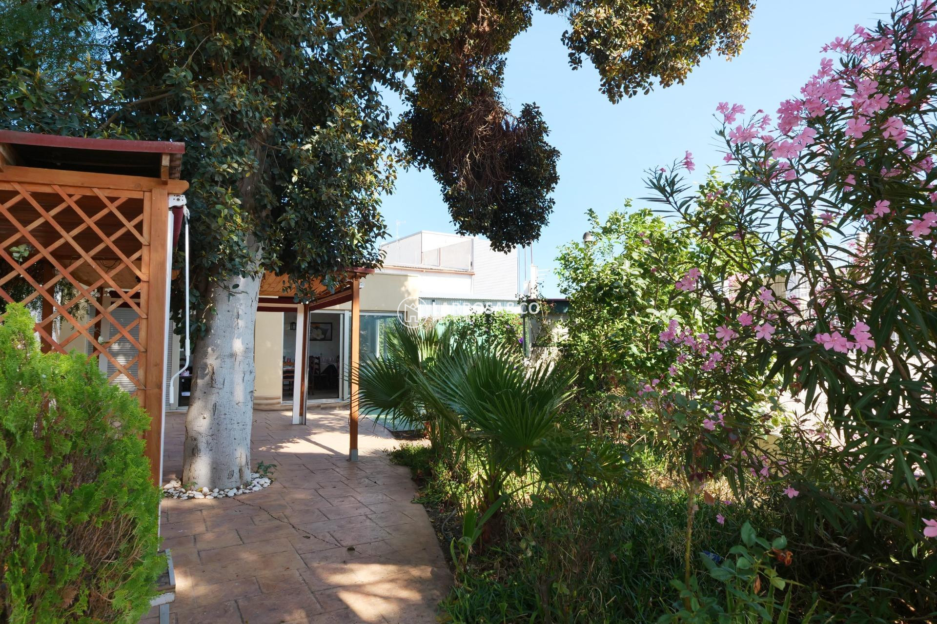 A Vendre - Industrial Field - Almoradí