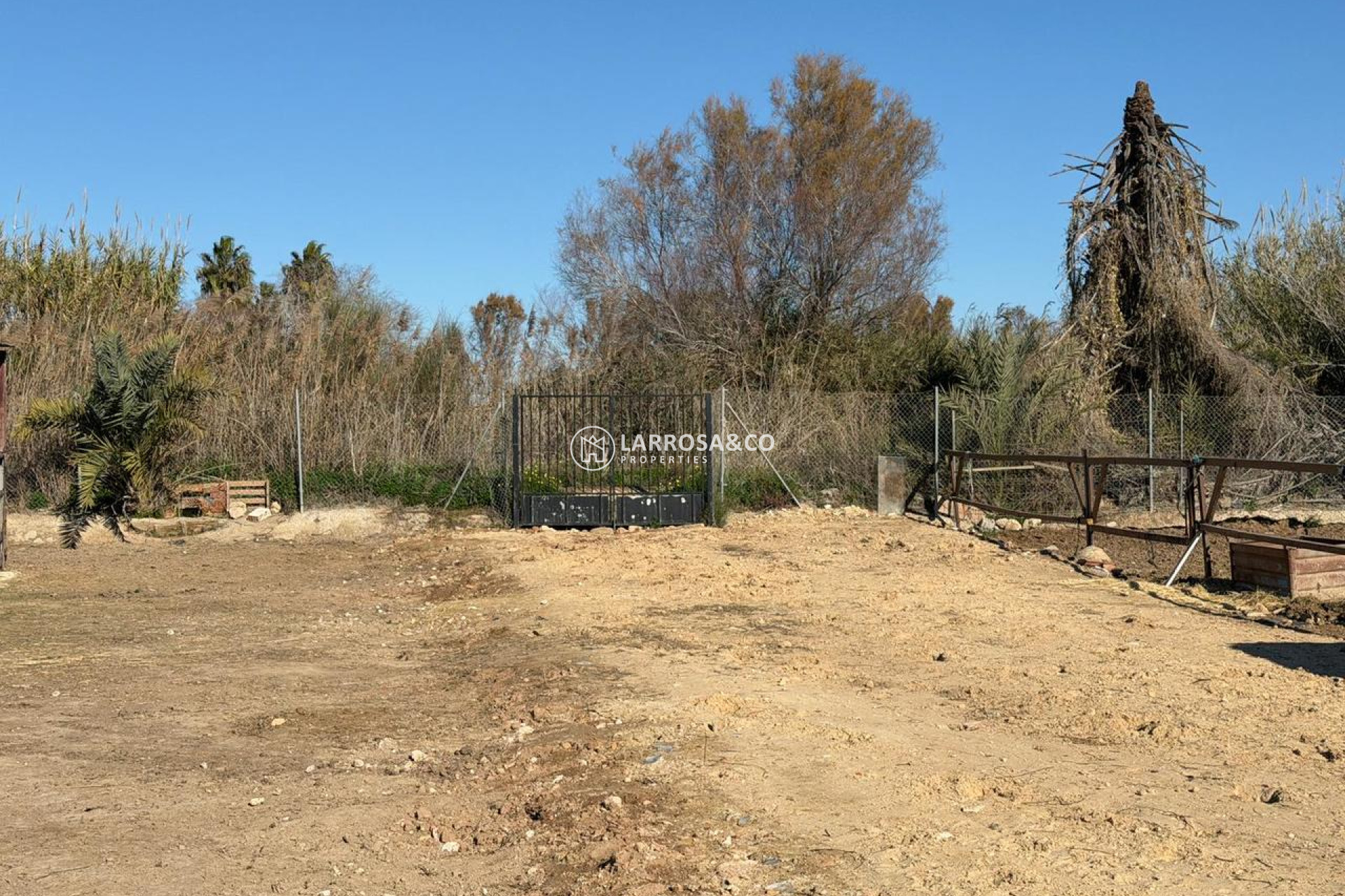 A Vendre - Land - Algorfa - Inland