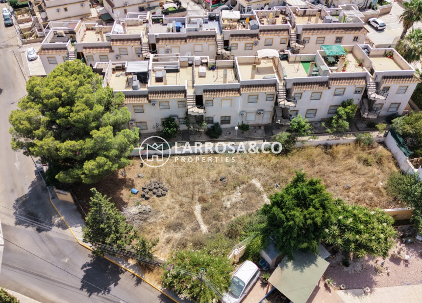 A Vendre - Land - Algorfa - Inland