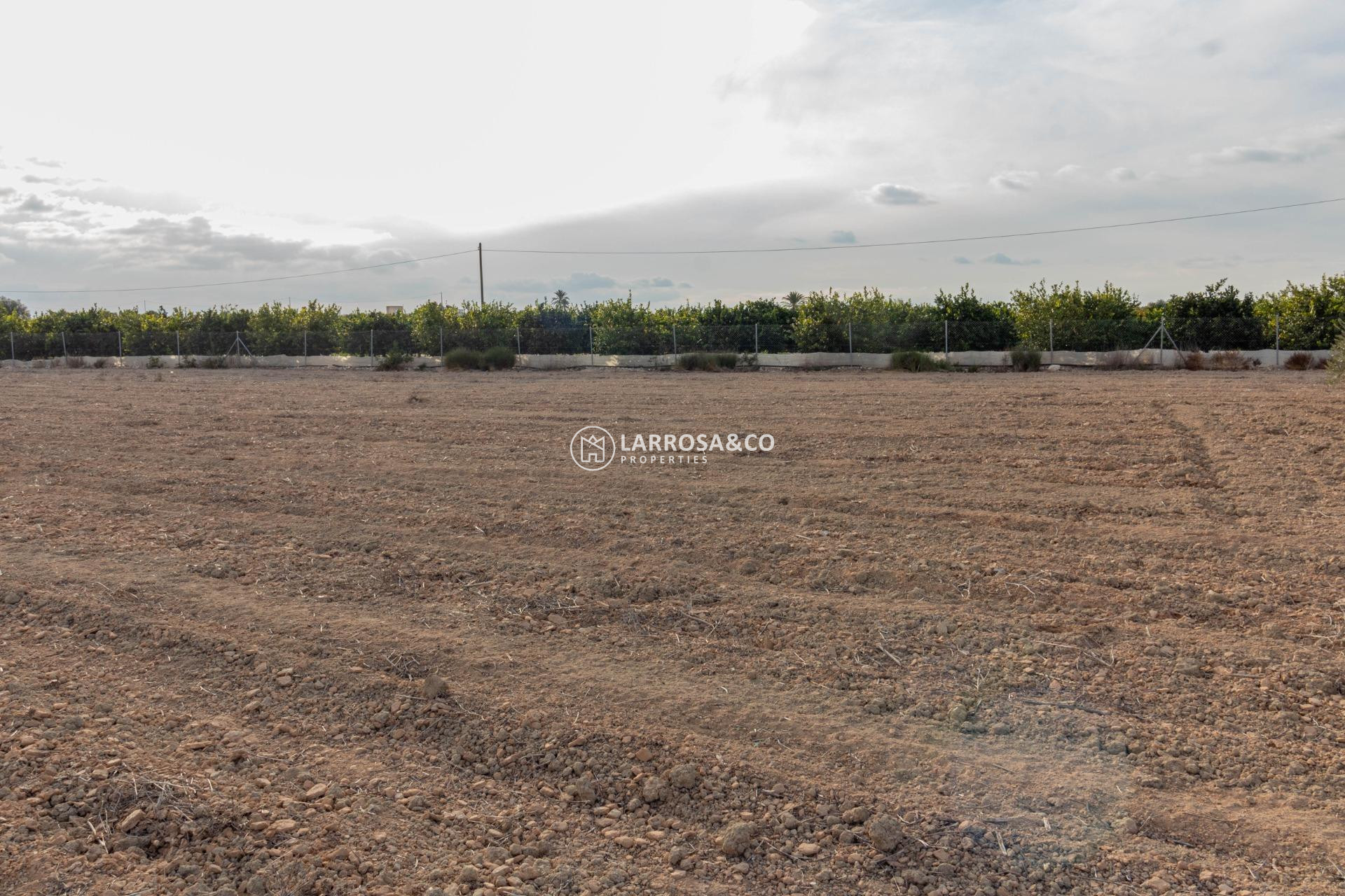 A Vendre - Land - Benferri - Campo