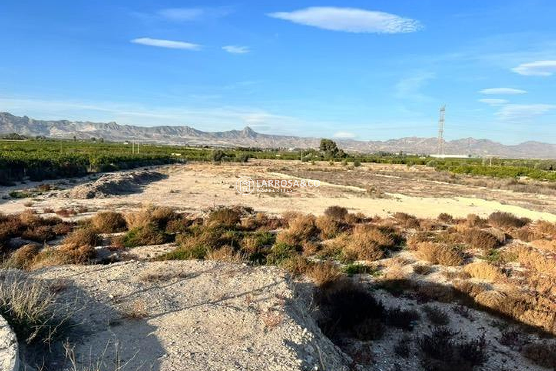A Vendre - Land - Benferri - Campo