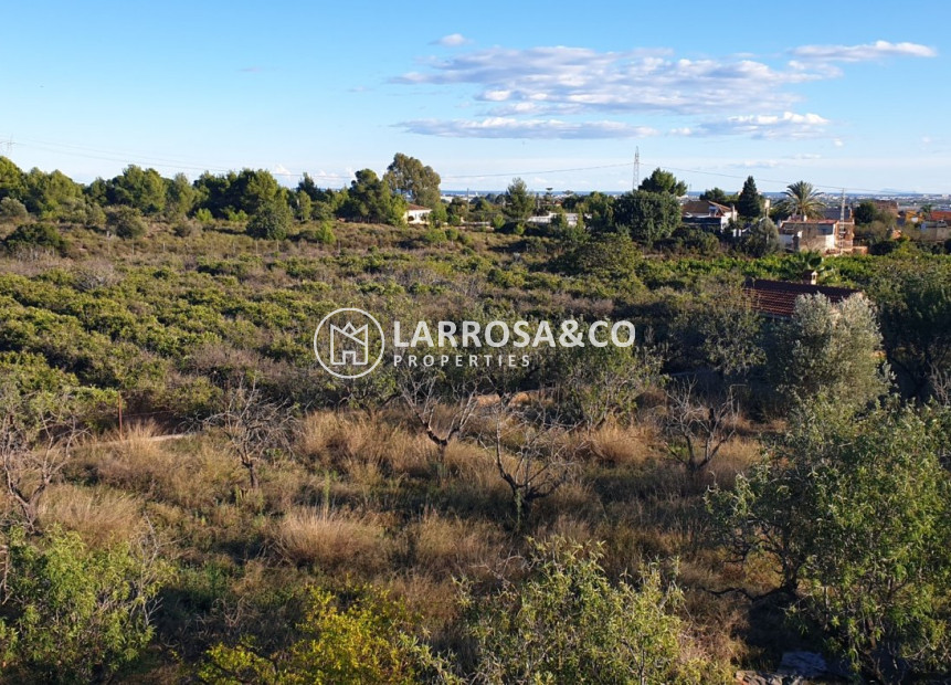 A Vendre - Land - Naquera - TRES RUTES