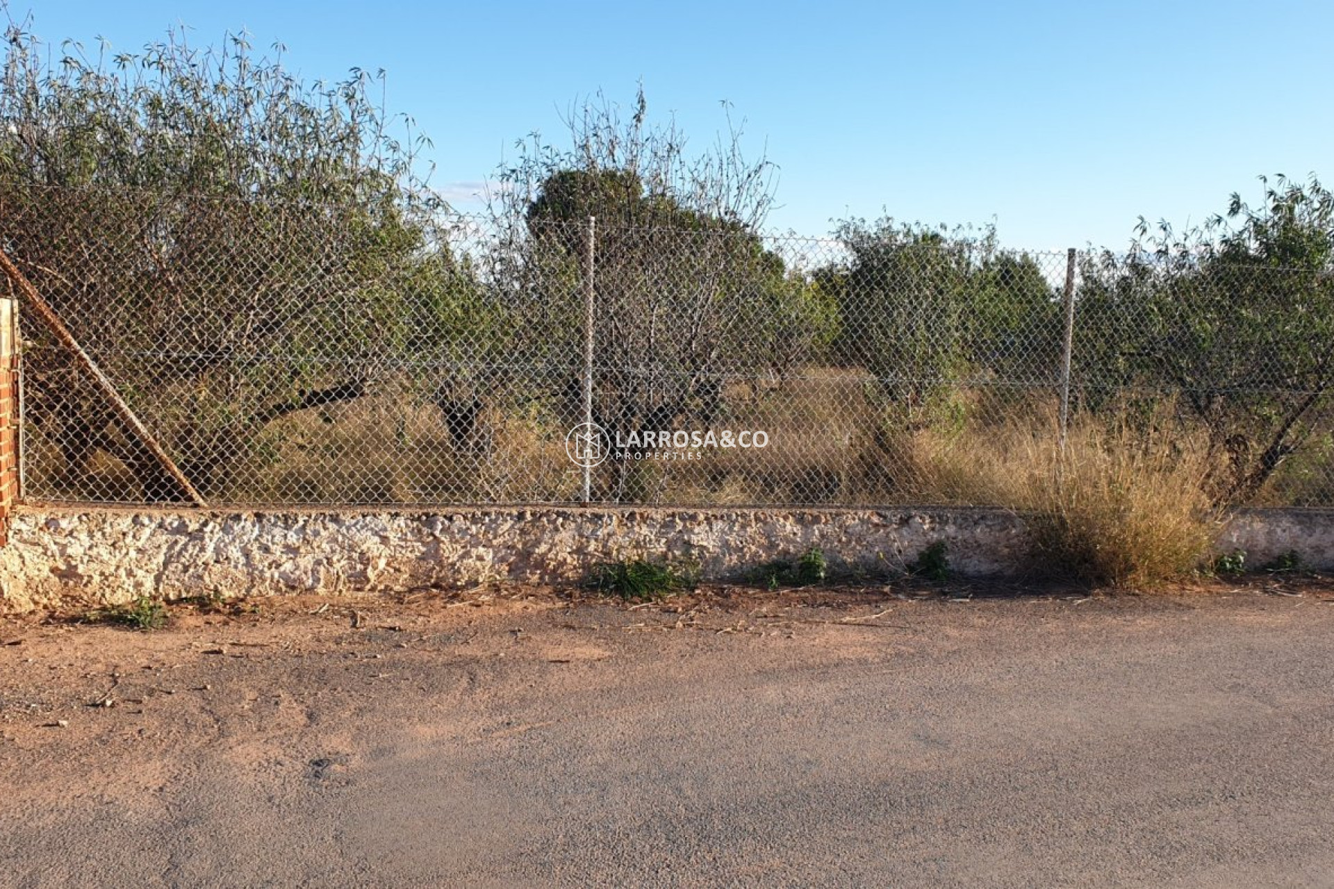 A Vendre - Land - Naquera - TRES RUTES