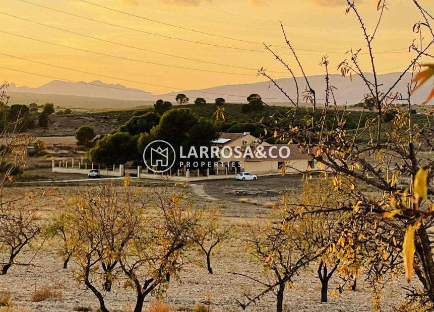 A Vendre - Land - Pinoso - A 2 km de la ciudad