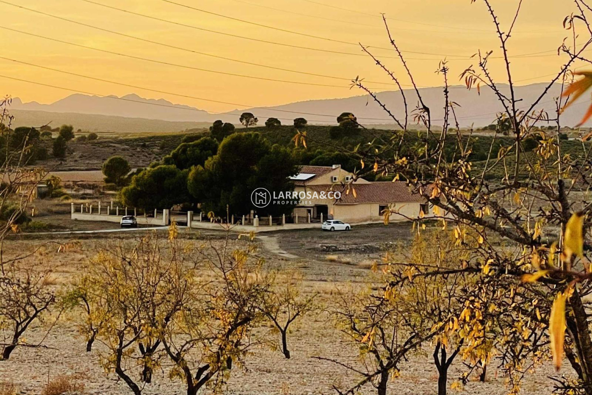 A Vendre - Land - Pinoso - A 2 km de la ciudad