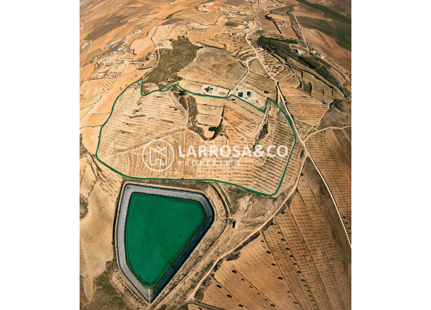 A Vendre - Land - Pinoso - A 2 km de la ciudad