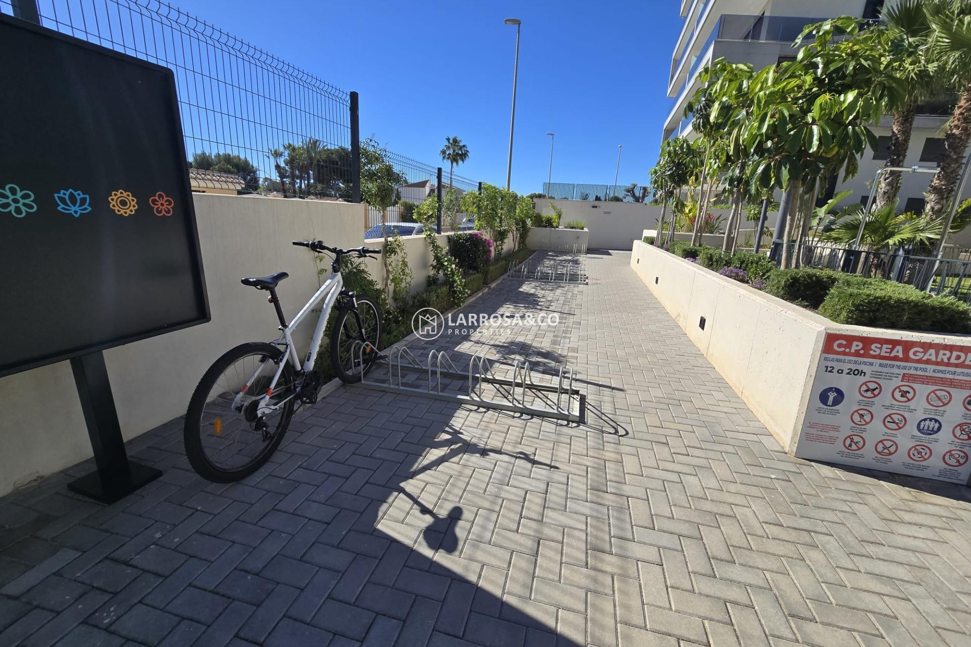 A Vendre - Penthouse  - Campoamor - Dehesa De Campoamor