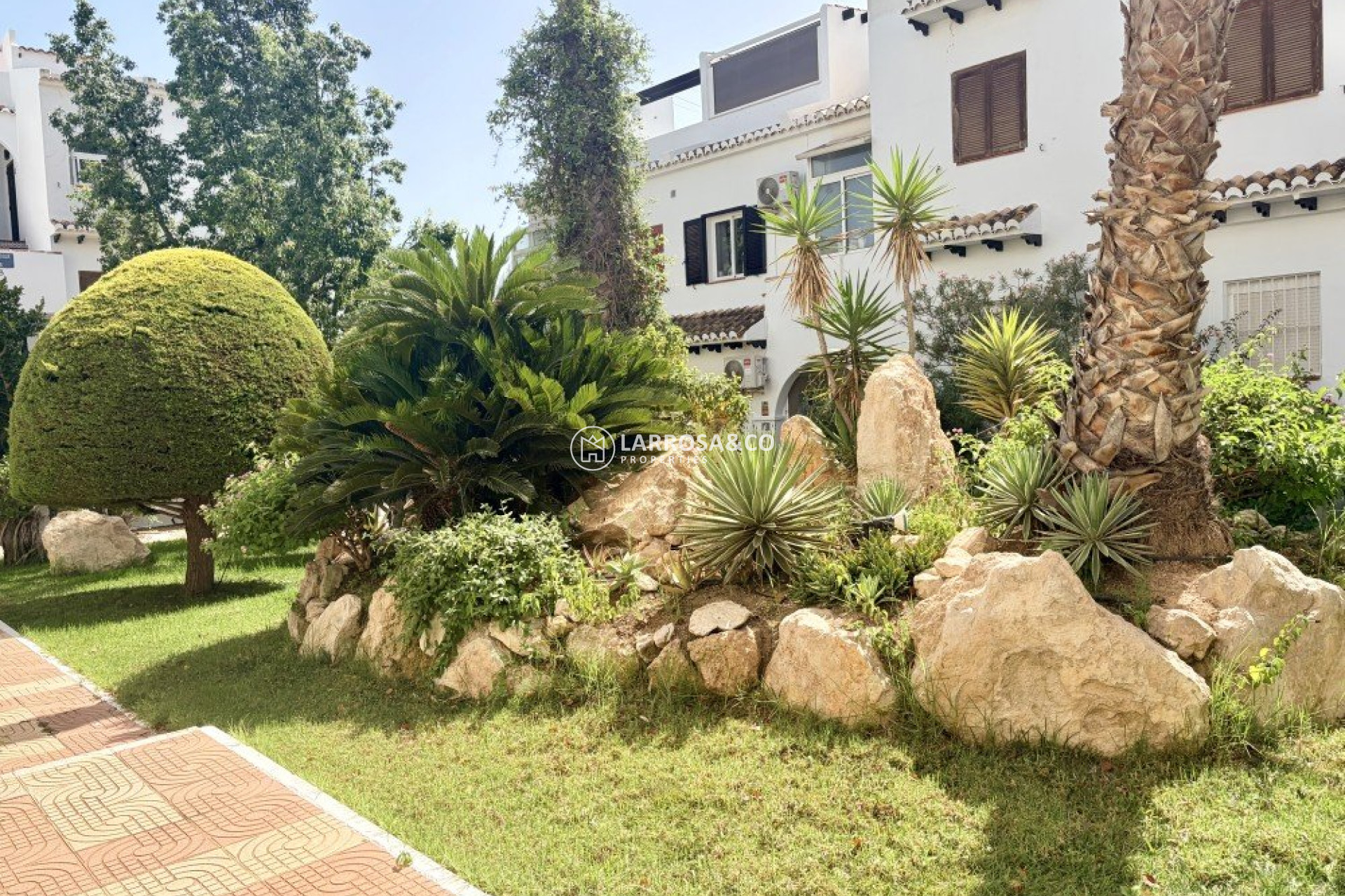 A Vendre - Penthouse  - Ciudad Quesada - Costa Blanca