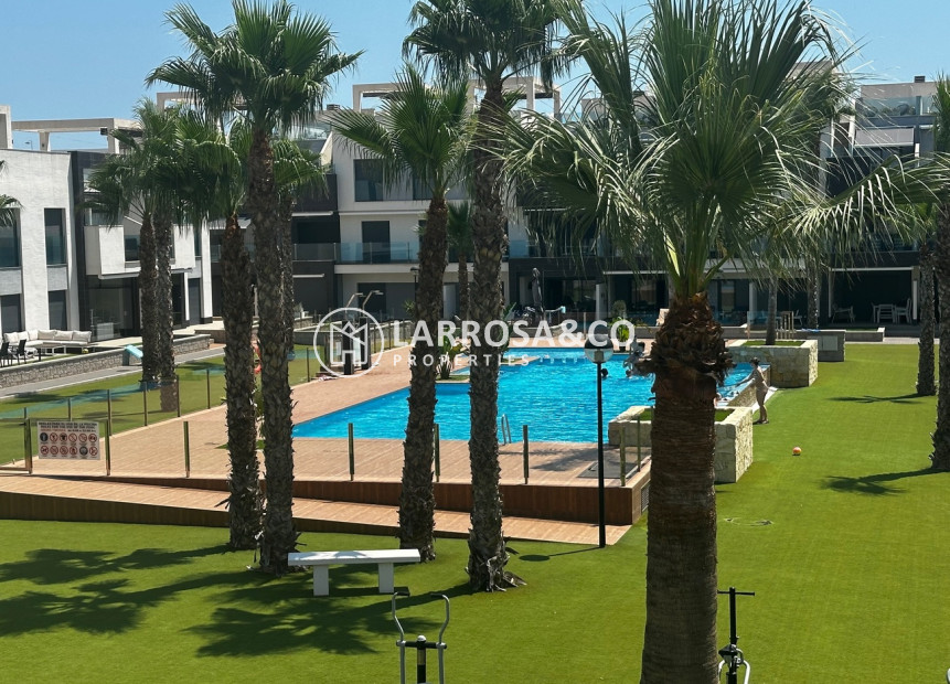 A Vendre - Penthouse  - Guardamar del Segura - El Raso