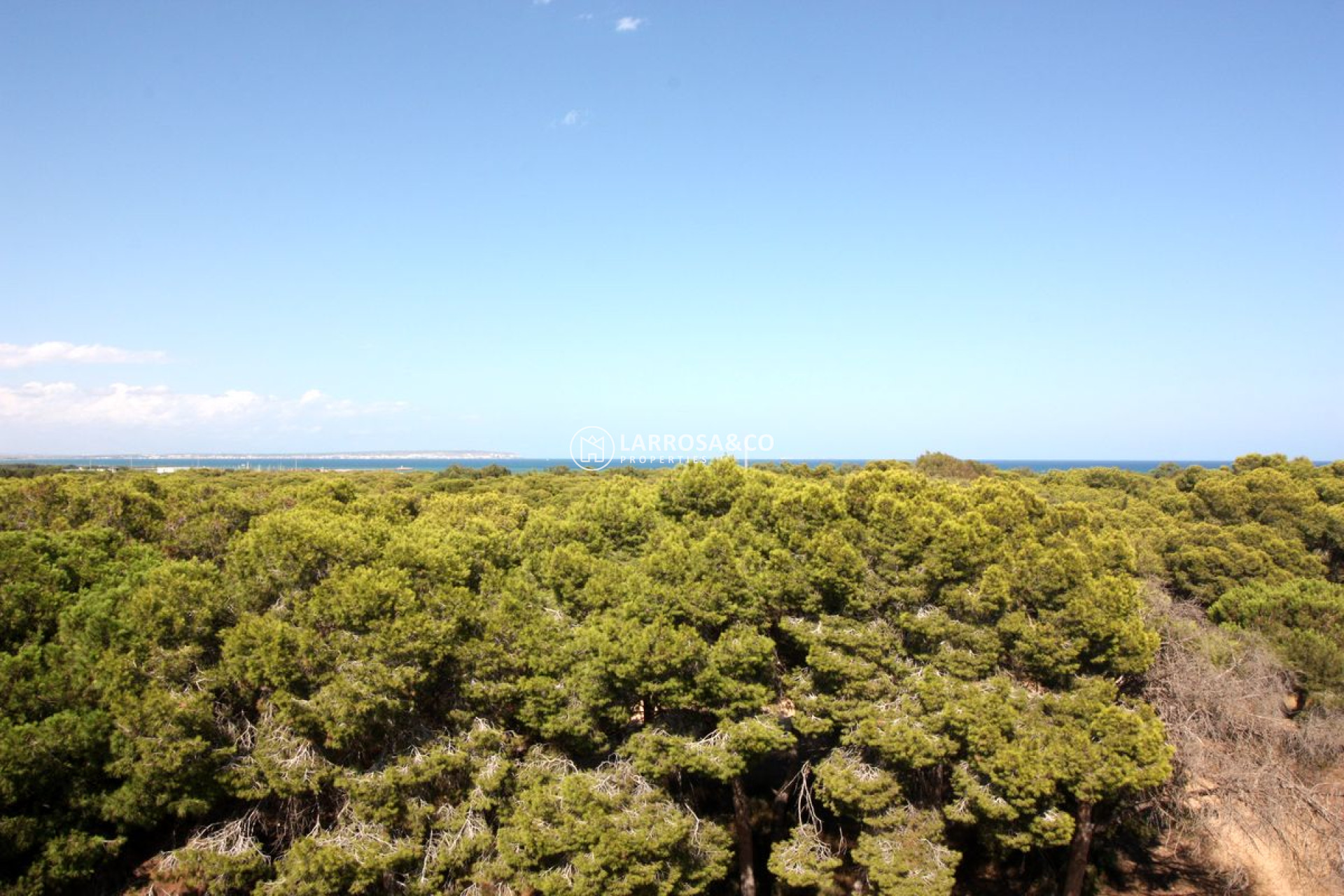 A Vendre - Penthouse  - Guardamar del Segura - Pinada