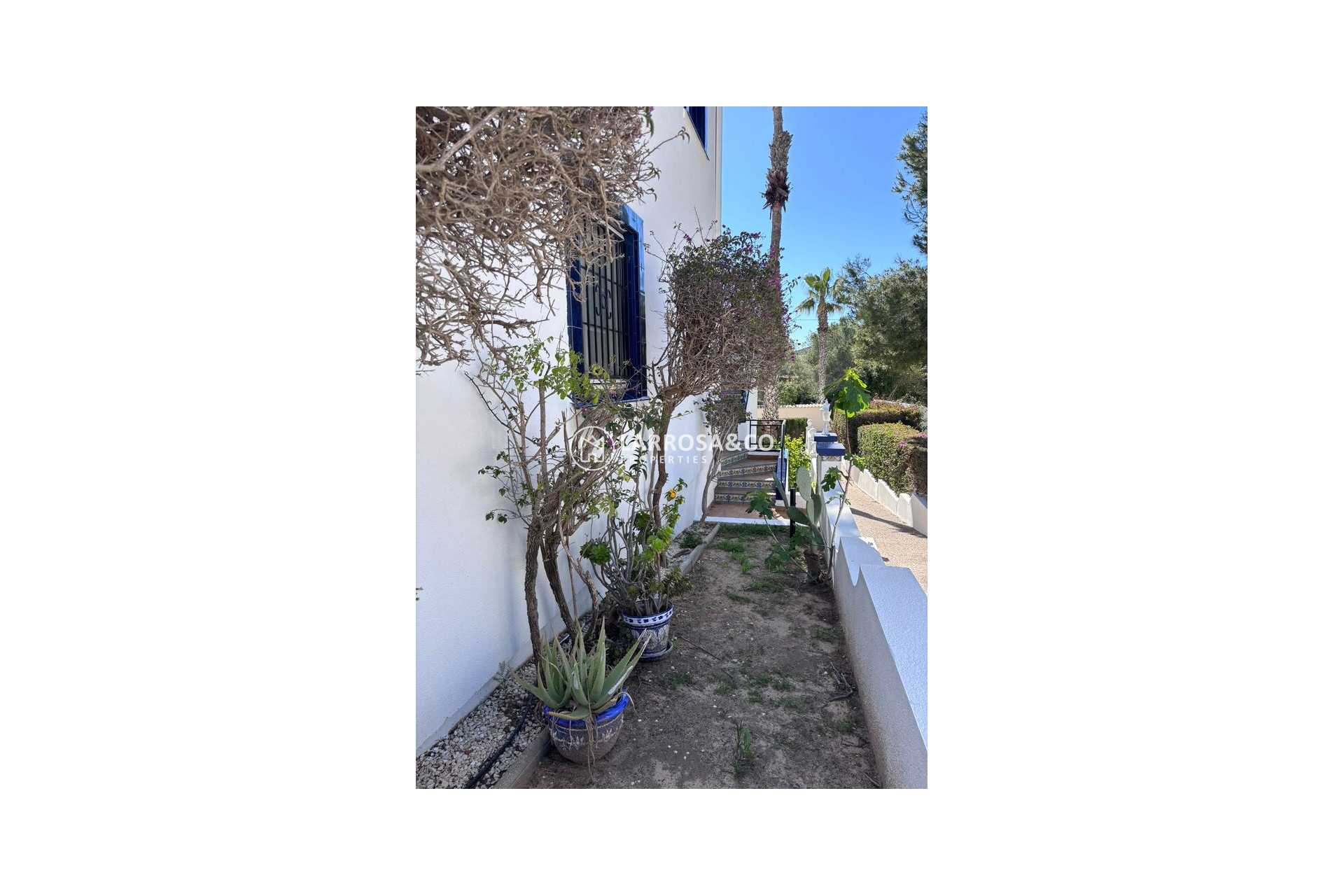 A Vendre - Penthouse  - Orihuela costa - Costa Blanca