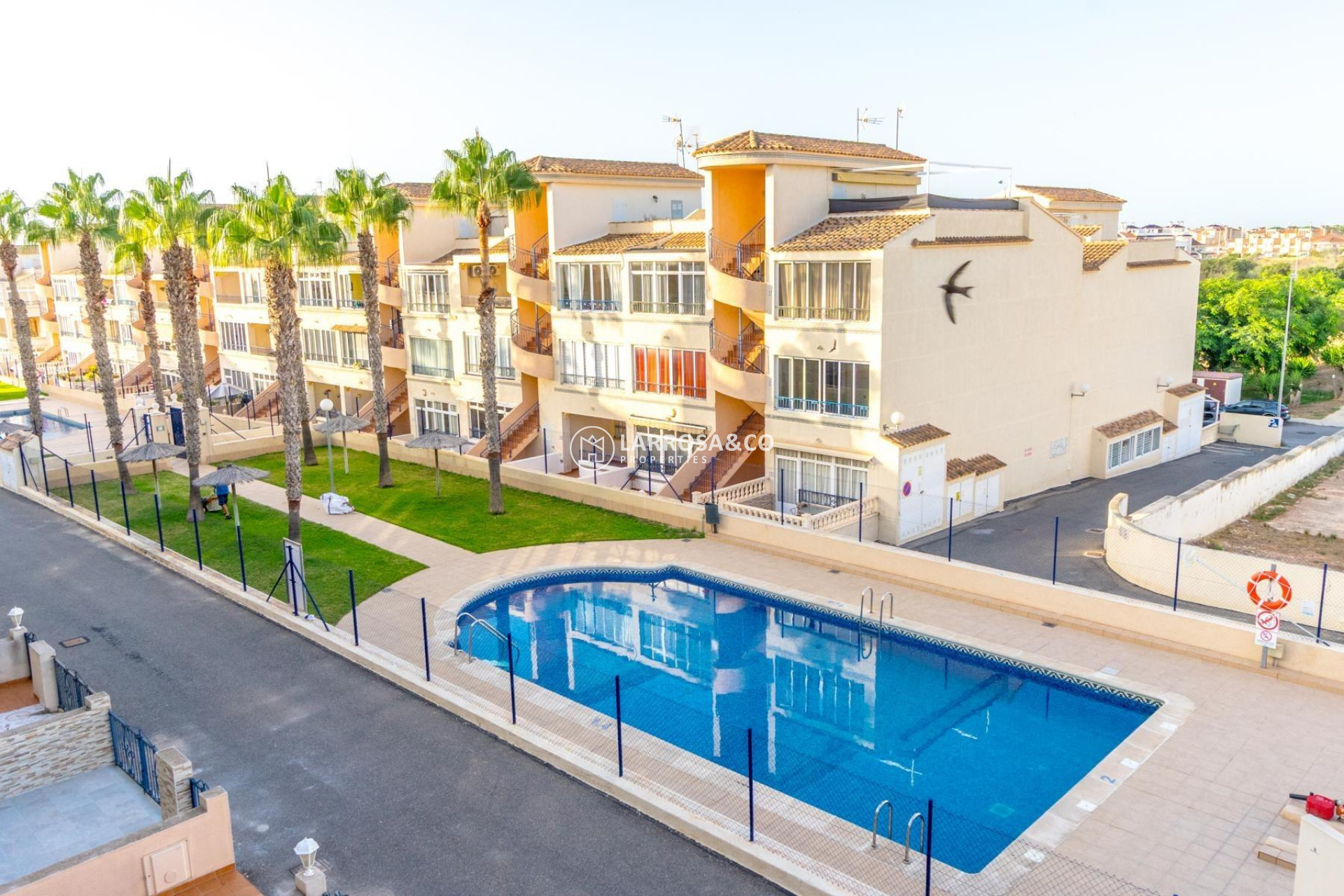A Vendre - Penthouse  - Orihuela costa - La Ciñuelica