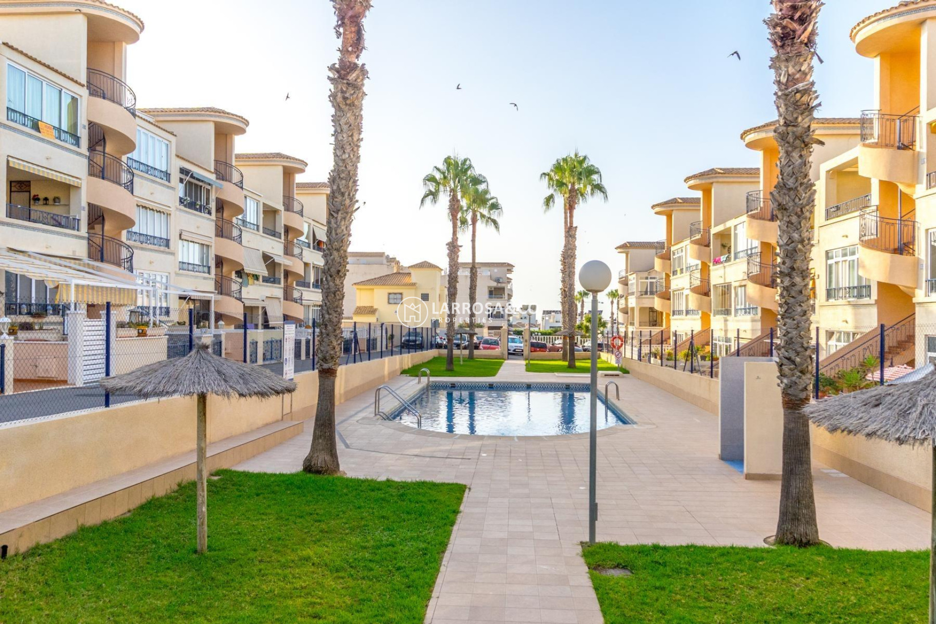 A Vendre - Penthouse  - Orihuela costa - La Ciñuelica