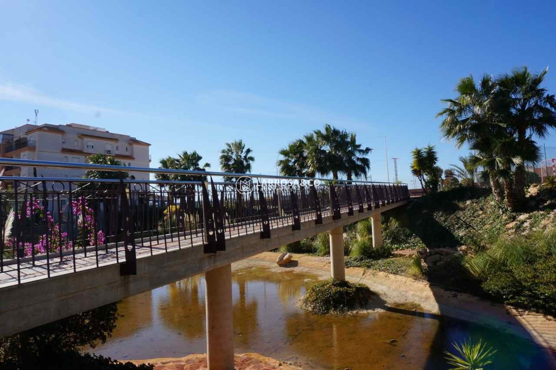 A Vendre - Penthouse  - Orihuela costa - Playa Flamenca