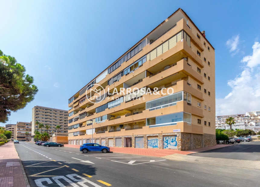 A Vendre - Penthouse  - Torrevieja - Cabo cervera