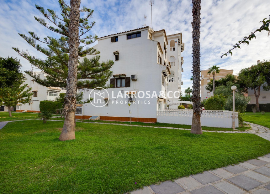 A Vendre - Penthouse  - Torrevieja - Calas blanca