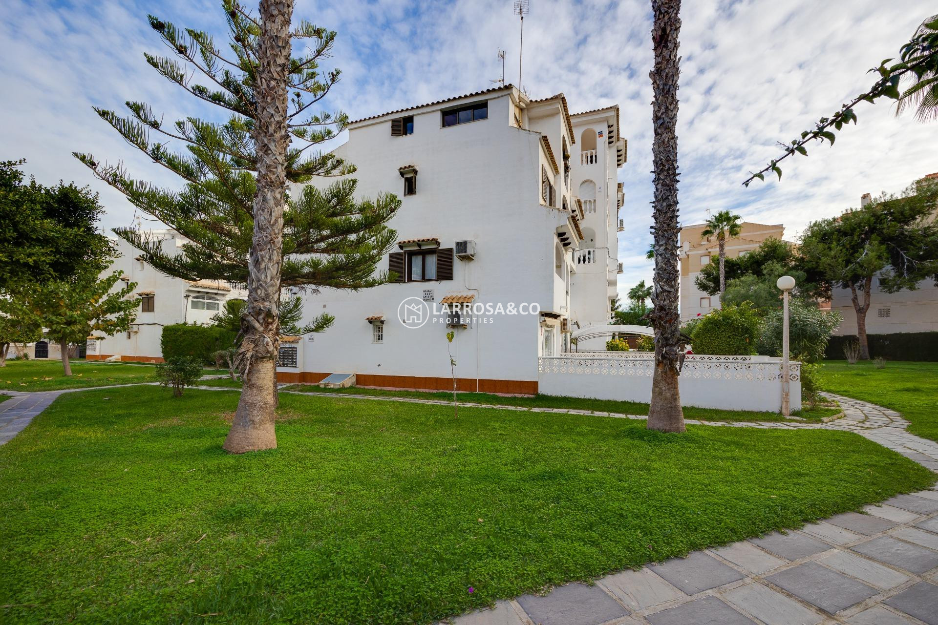 A Vendre - Penthouse  - Torrevieja - Calas blanca