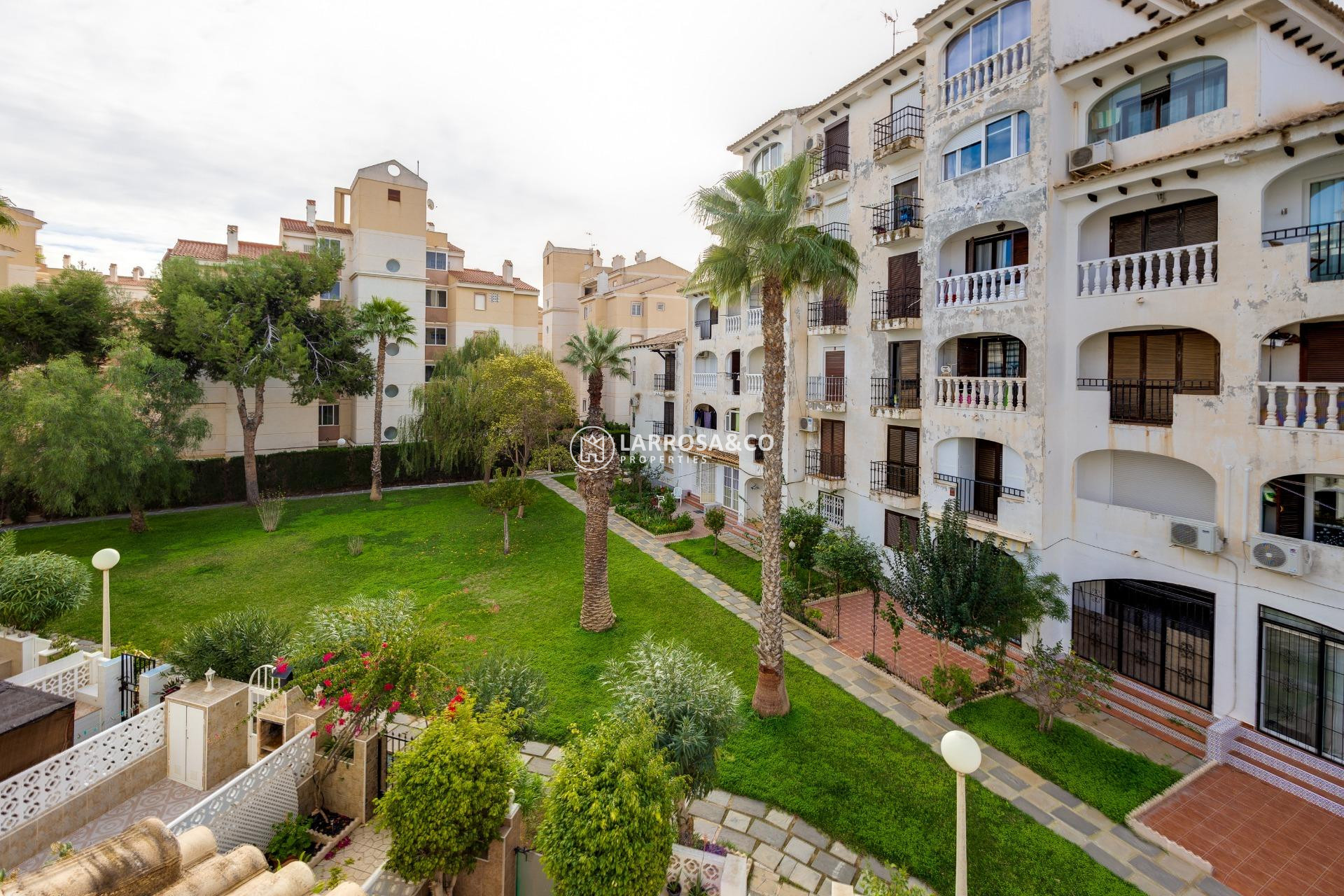 A Vendre - Penthouse  - Torrevieja - Calas blanca