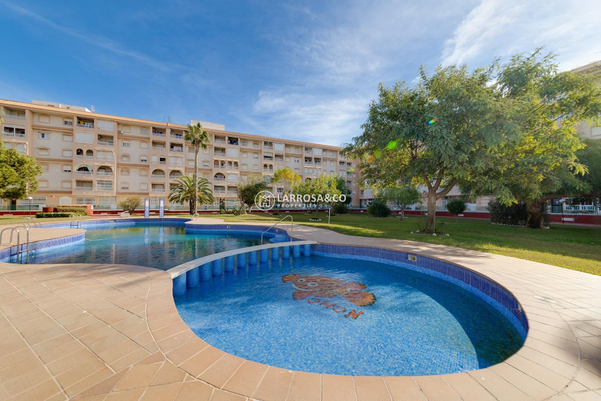 A Vendre - Penthouse  - Torrevieja - Centro