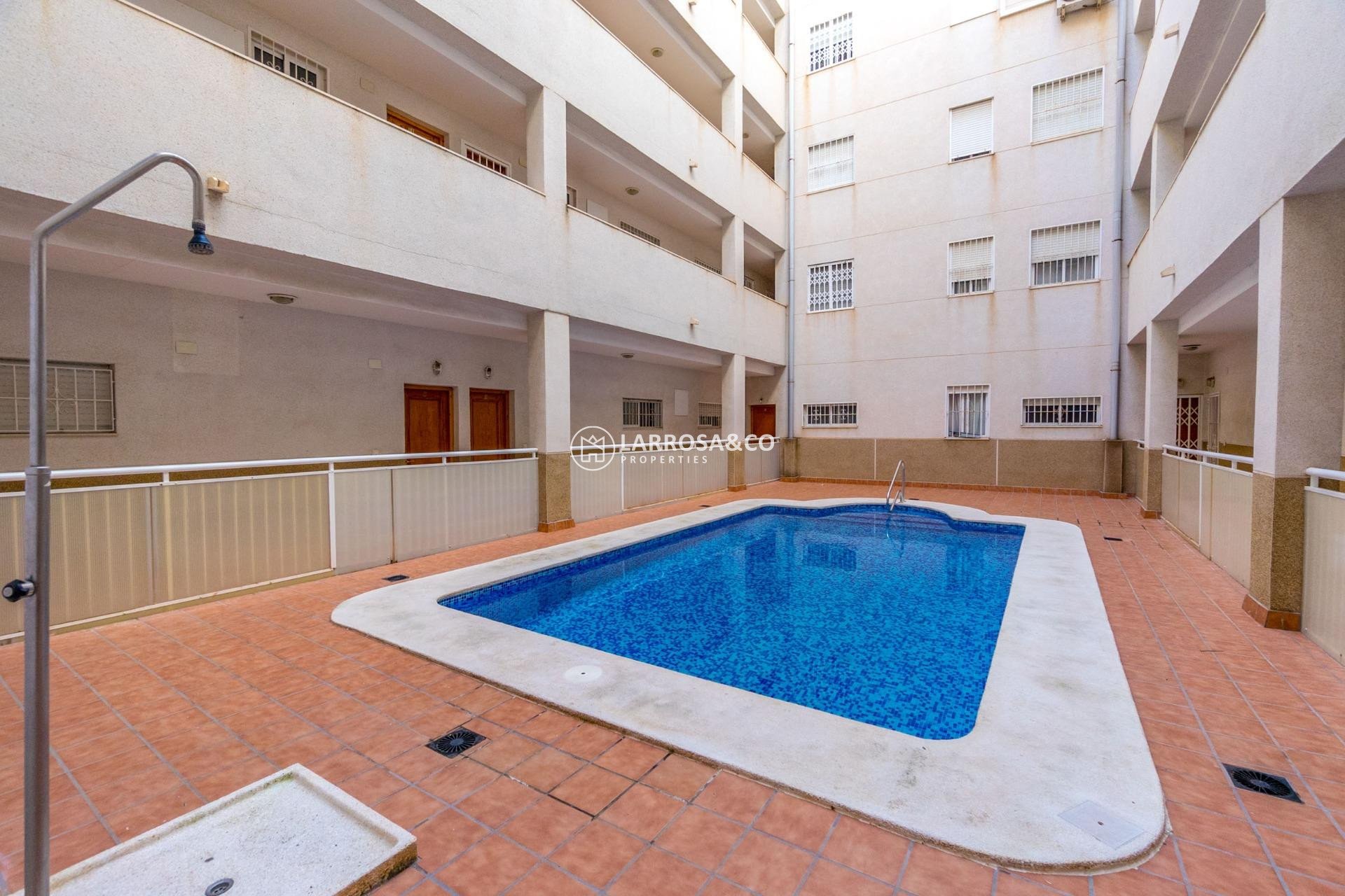 A Vendre - Penthouse  - Torrevieja - Centro