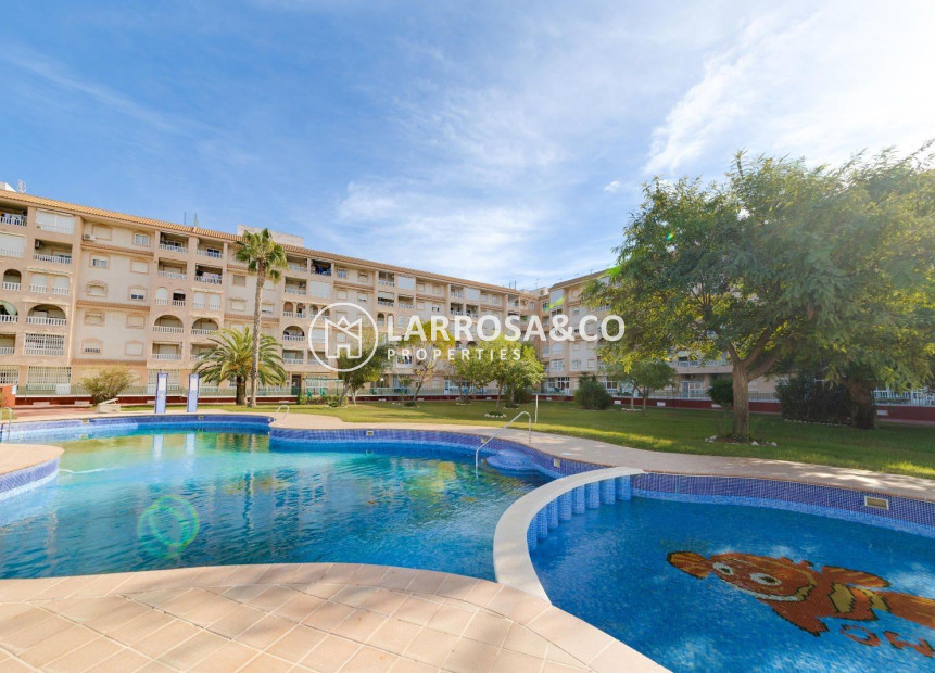 A Vendre - Penthouse  - Torrevieja - Centro