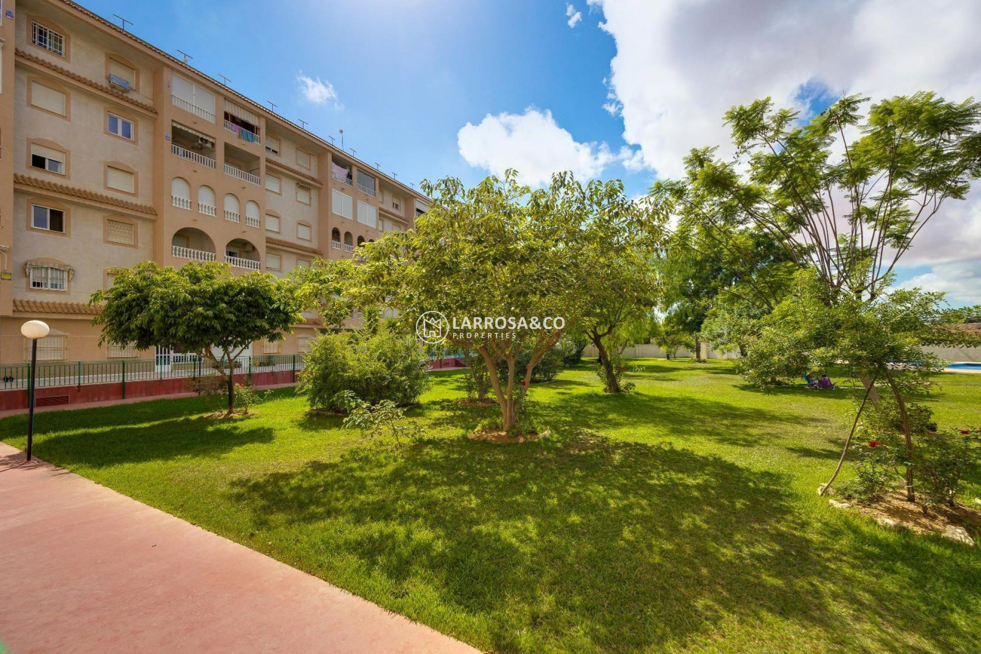A Vendre - Penthouse  - Torrevieja - Centro