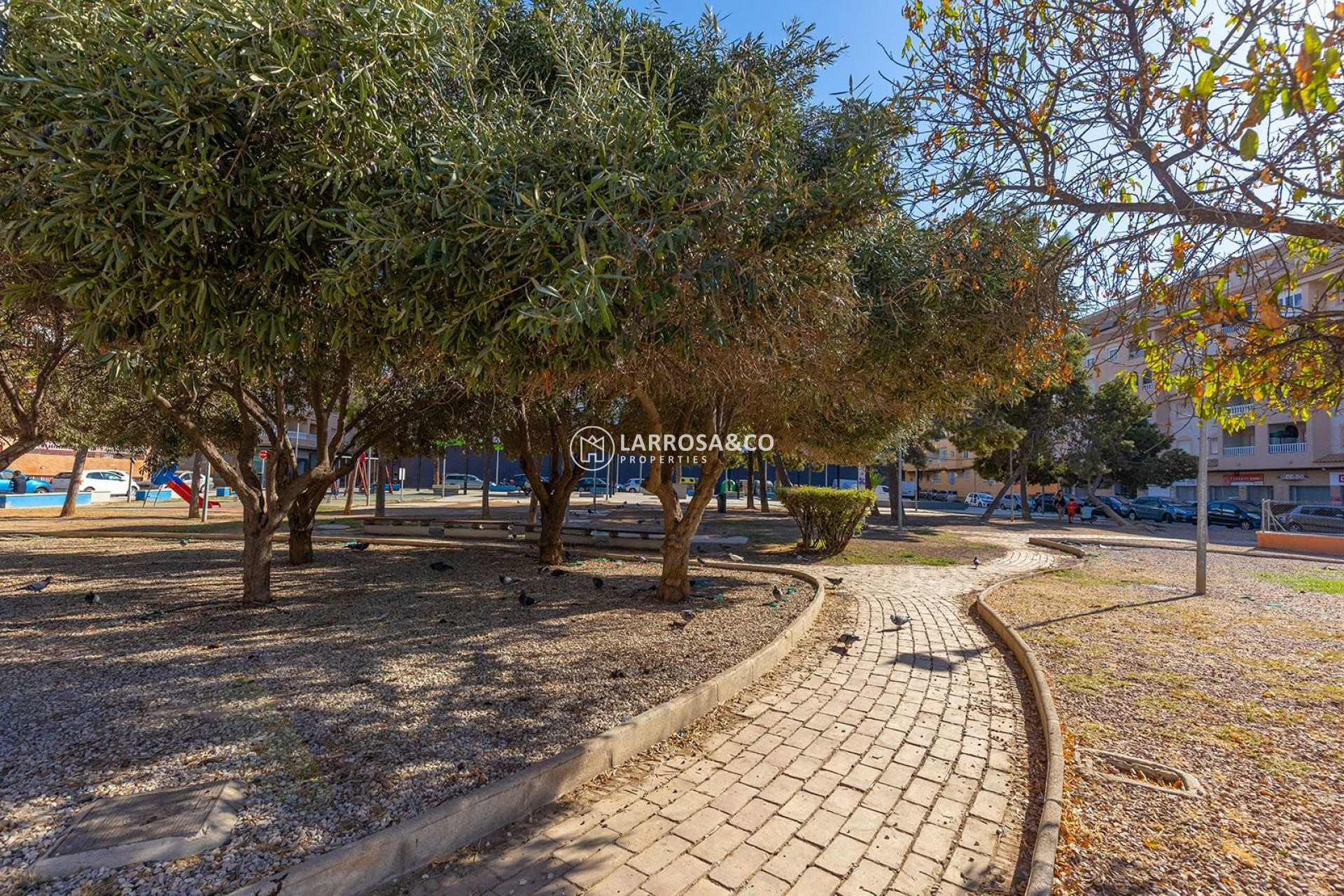 A Vendre - Penthouse  - Torrevieja - El molino