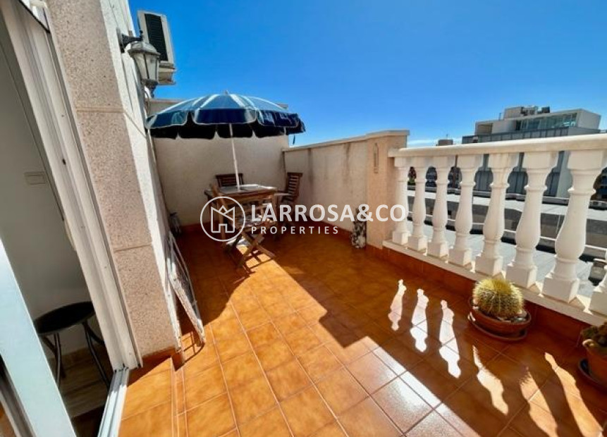 A Vendre - Penthouse  - Torrevieja - Estacion de autobuses