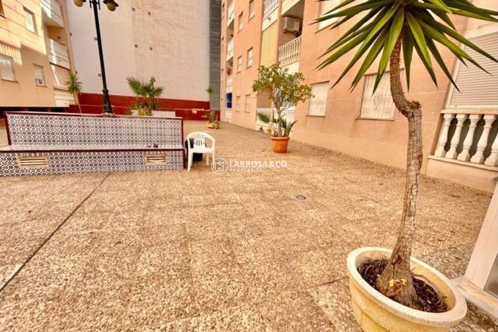 A Vendre - Penthouse  - Torrevieja - Estacion de autobuses