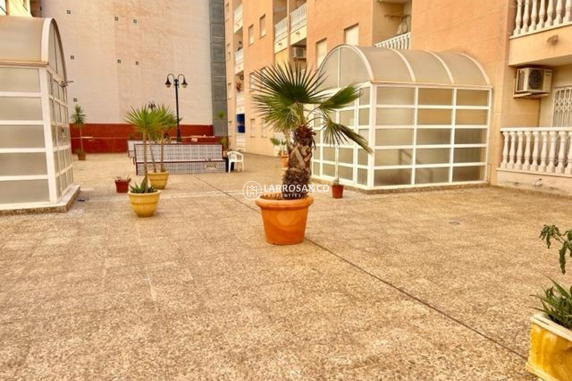 A Vendre - Penthouse  - Torrevieja - Estacion de autobuses