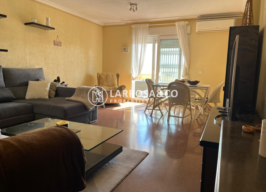 A Vendre - Penthouse  - Torrevieja - Estacion de autobuses