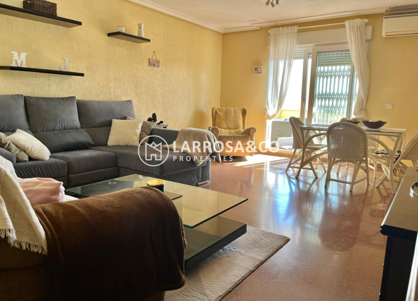 A Vendre - Penthouse  - Torrevieja - Estacion de autobuses