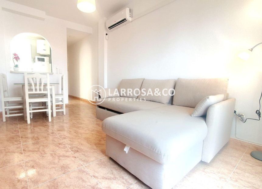 A Vendre - Penthouse  - Torrevieja - Estacion de autobuses
