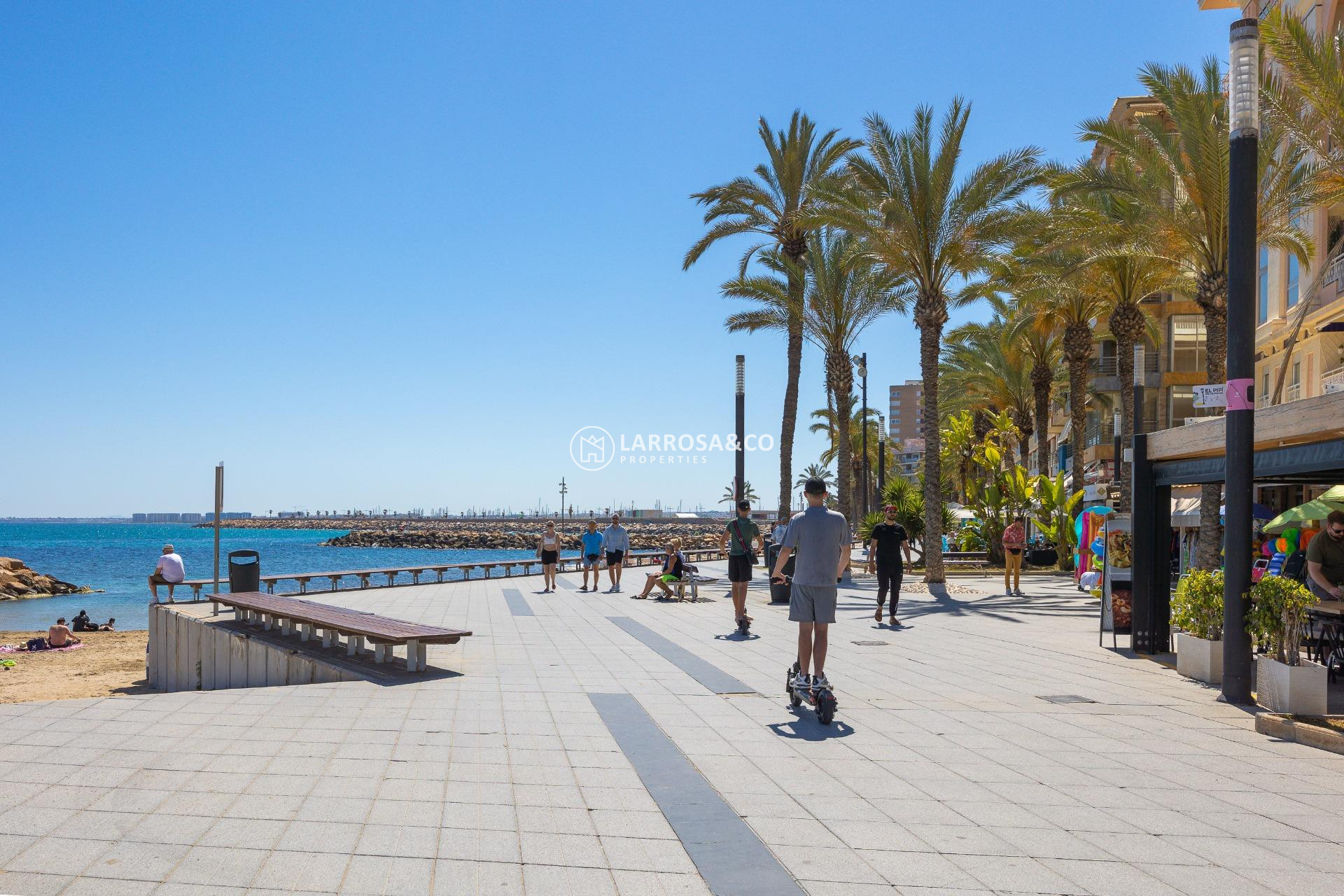 A Vendre - Penthouse  - Torrevieja - Habaneras