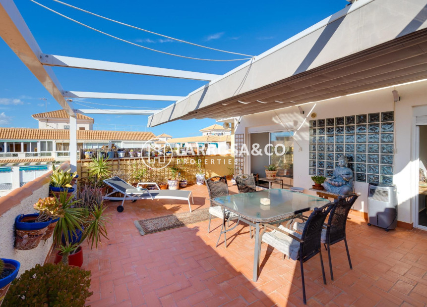 A Vendre - Penthouse  - Torrevieja - La Mata