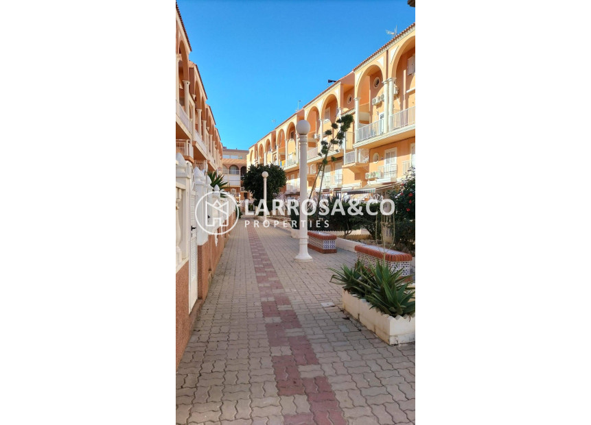 A Vendre - Penthouse  - Torrevieja - La Mata