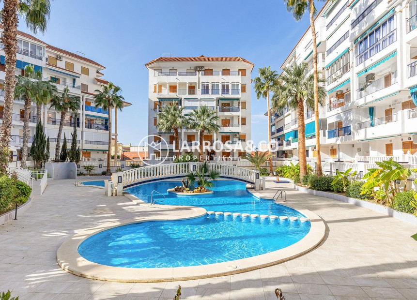 A Vendre - Penthouse  - Torrevieja - Los Europeos