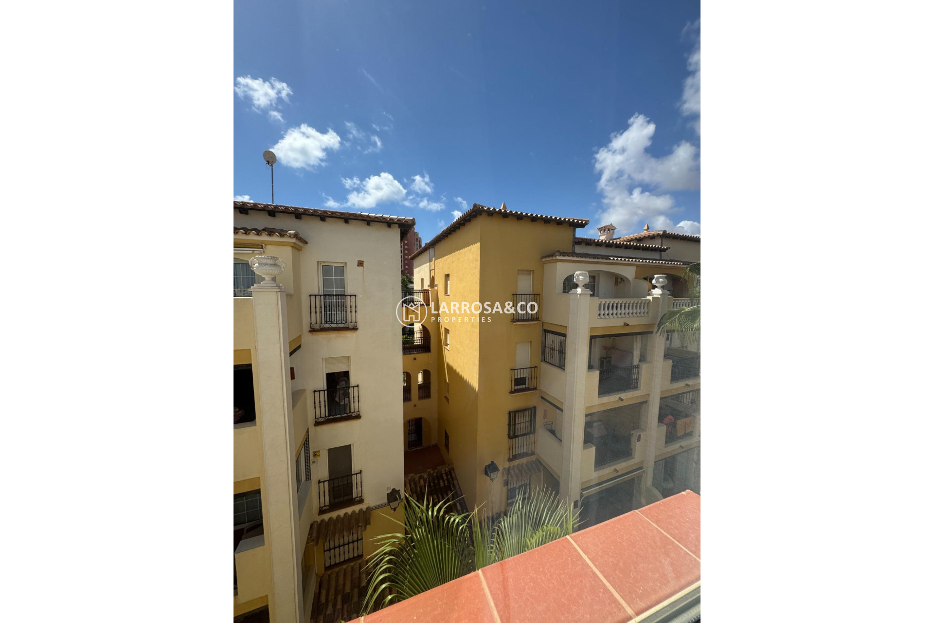 A Vendre - Penthouse  - Torrevieja - Los Frutales