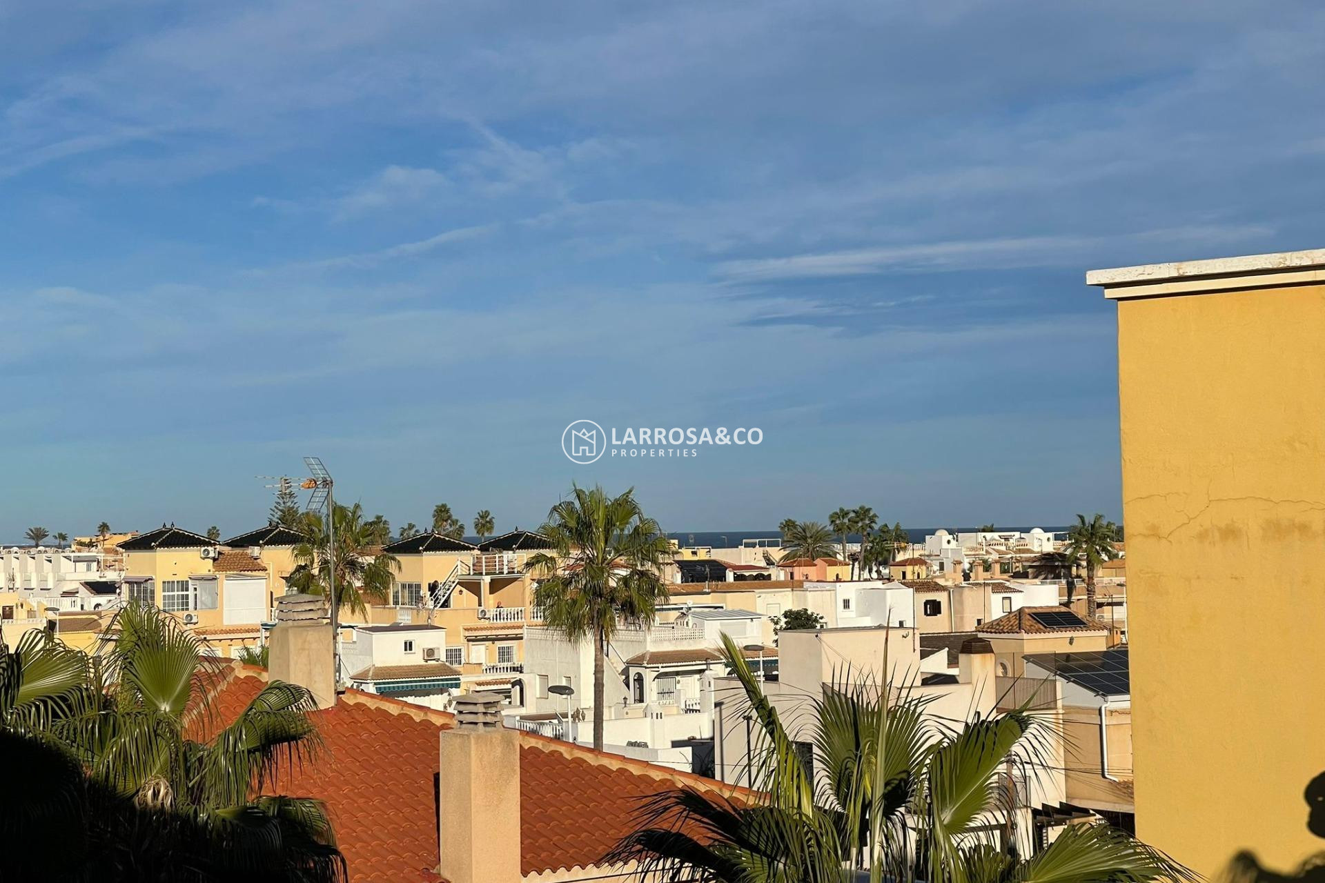 A Vendre - Penthouse  - Torrevieja - Los Frutales
