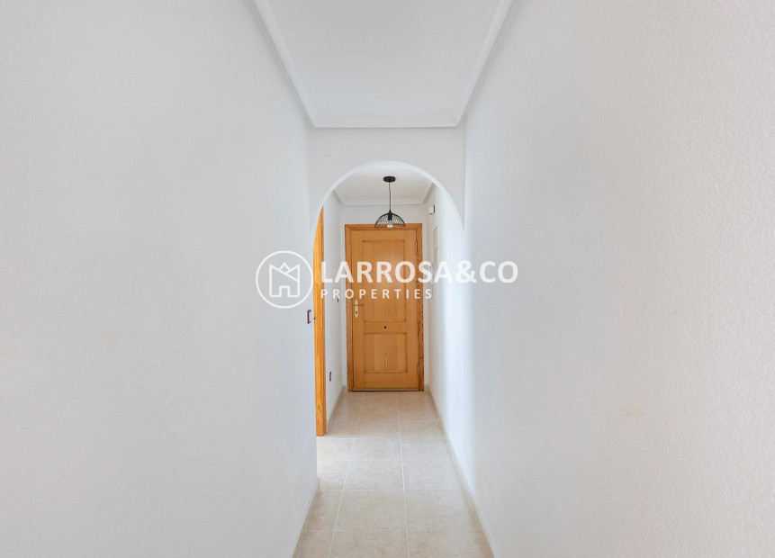 A Vendre - Penthouse  - Torrevieja - Nueva Torrevieja