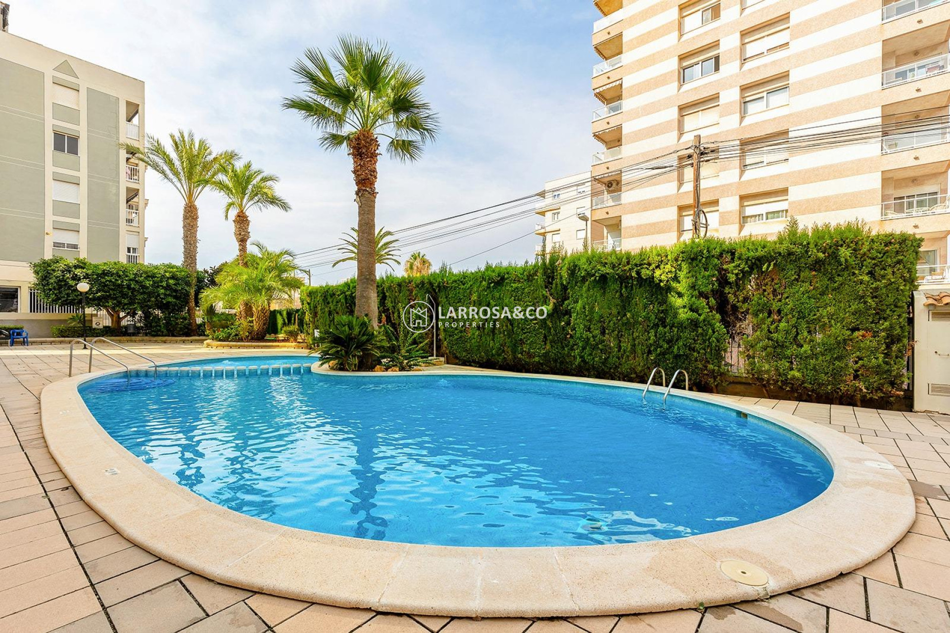 A Vendre - Penthouse  - Torrevieja - Nueva Torrevieja